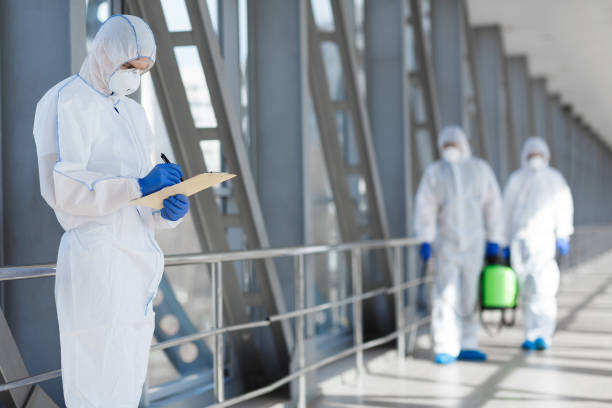 Mold Remediation for Vacation Homes in Conneaut, OH
