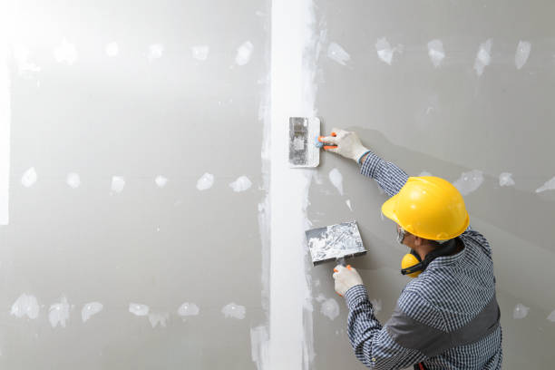 Best Mold Odor Removal Services  in Conneaut, OH