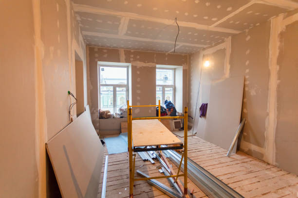 Best Attic Mold Removal  in Conneaut, OH