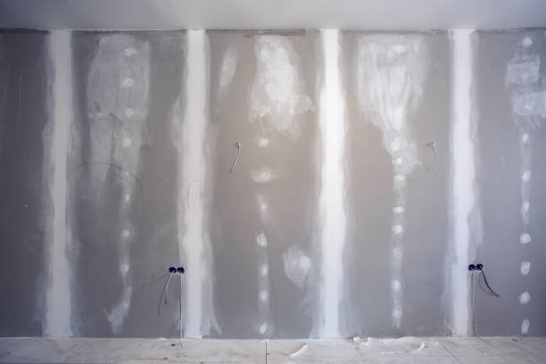 Best Water Damage & Mold Remediation  in Conneaut, OH